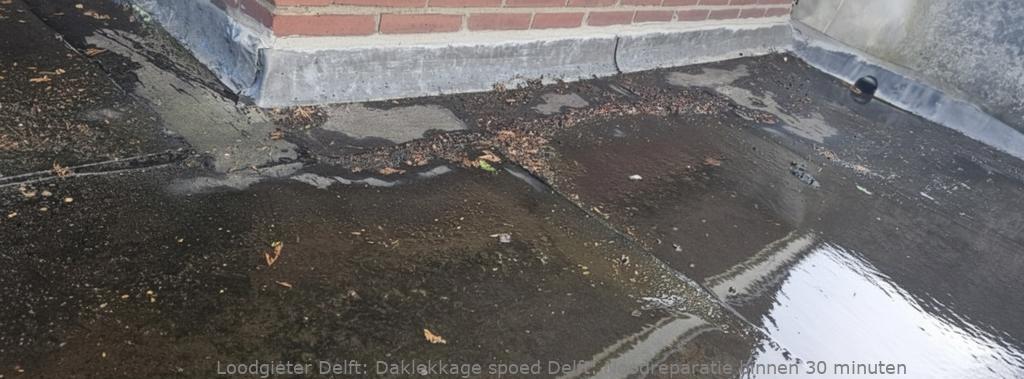 Daklekkage Spoed Delft