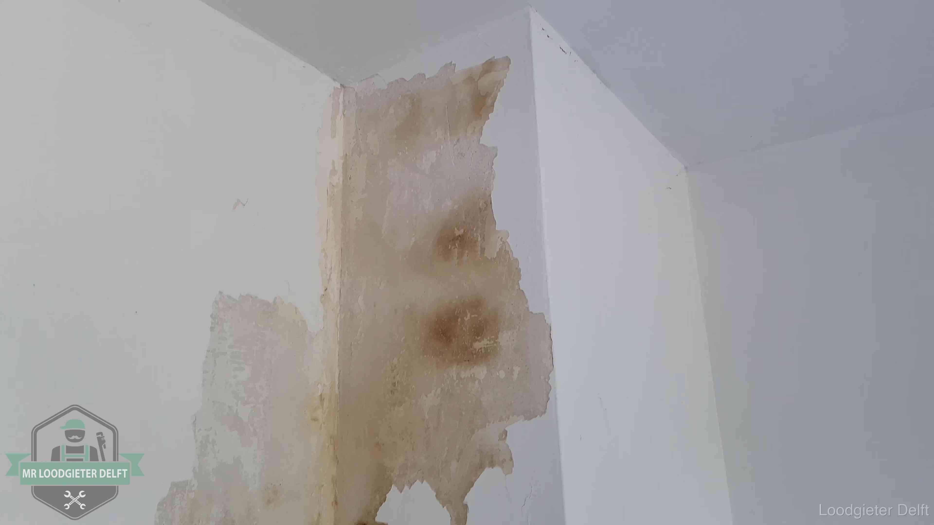 Bruine vochtkringen en afbladderend stucwerk op een binnenmuur in Delft, een eerste teken van daklekkage