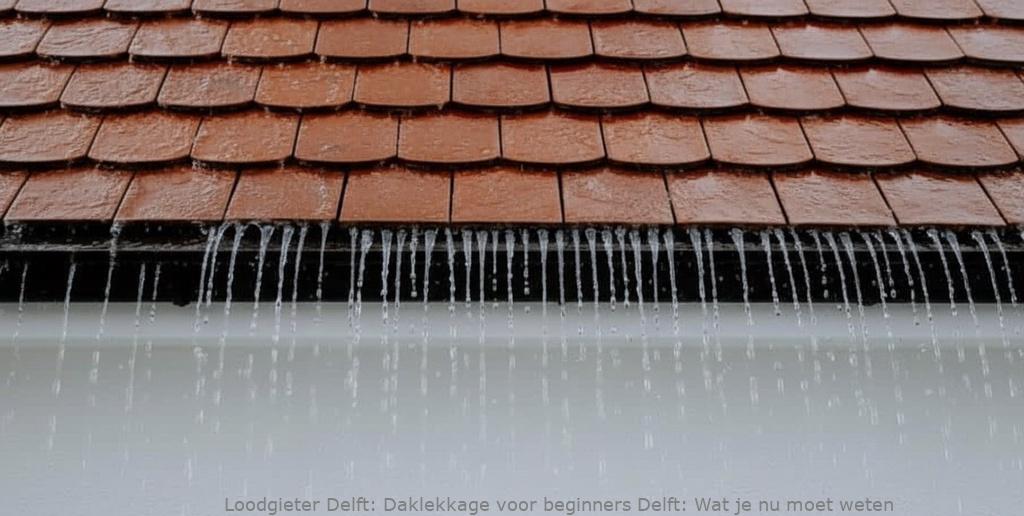 Daklekkage Voor Beginners Delft