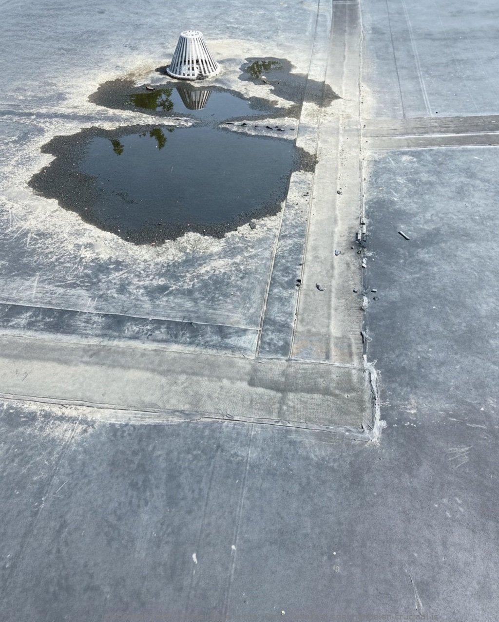Daklekkage Winter Delft