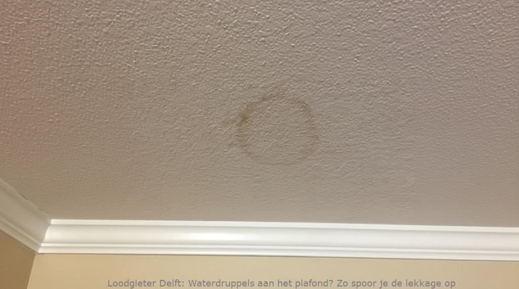 Lekkage Plafond Delft