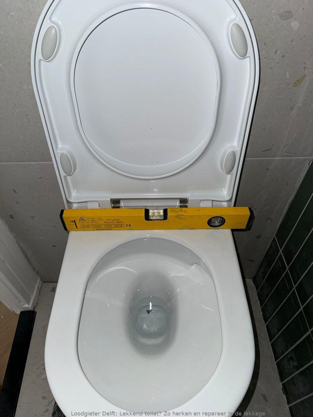 Lekkage Toilet Delft