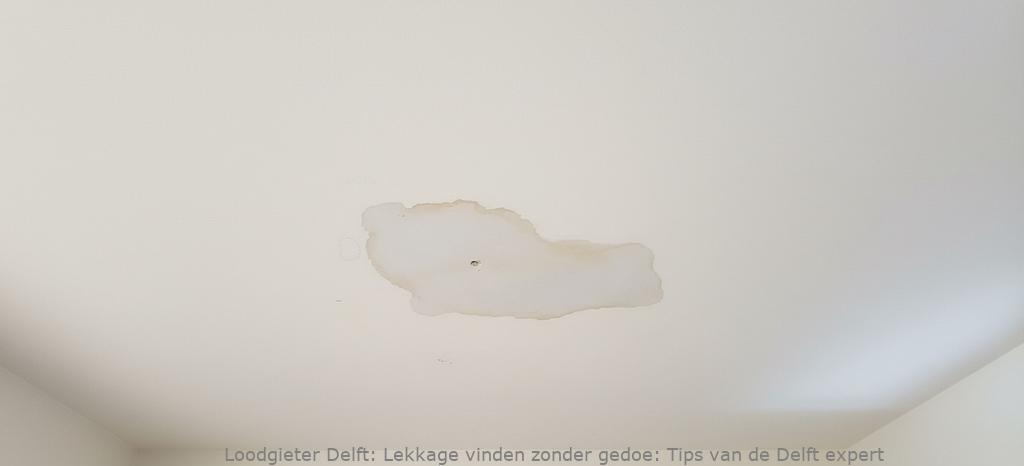 Lekkage Vinden Delft