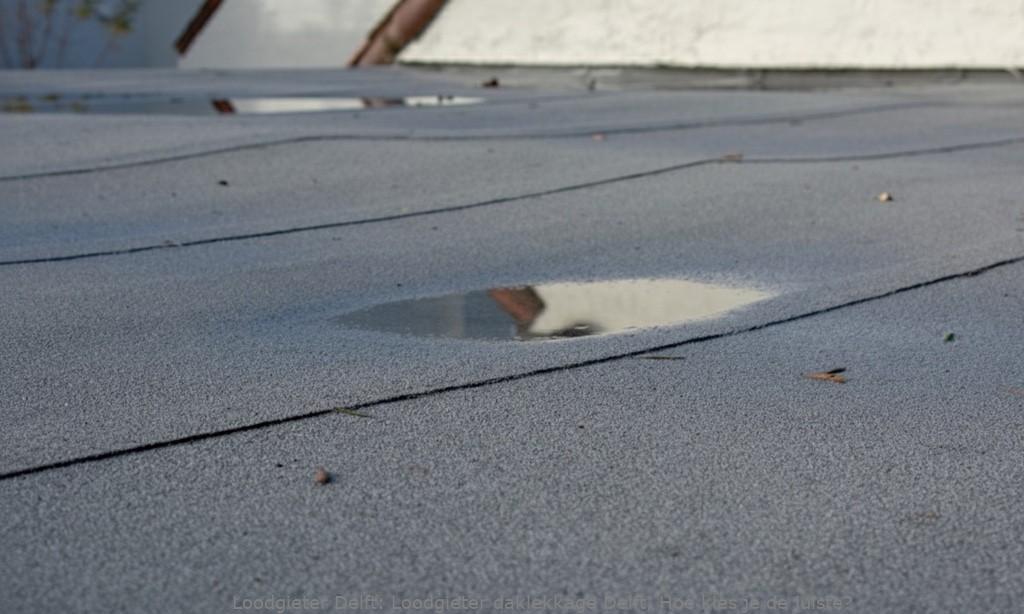 Loodgieter Daklekkage Delft