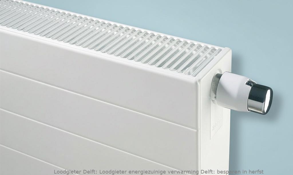 Loodgieter Energiezuinige Verwarming Delft