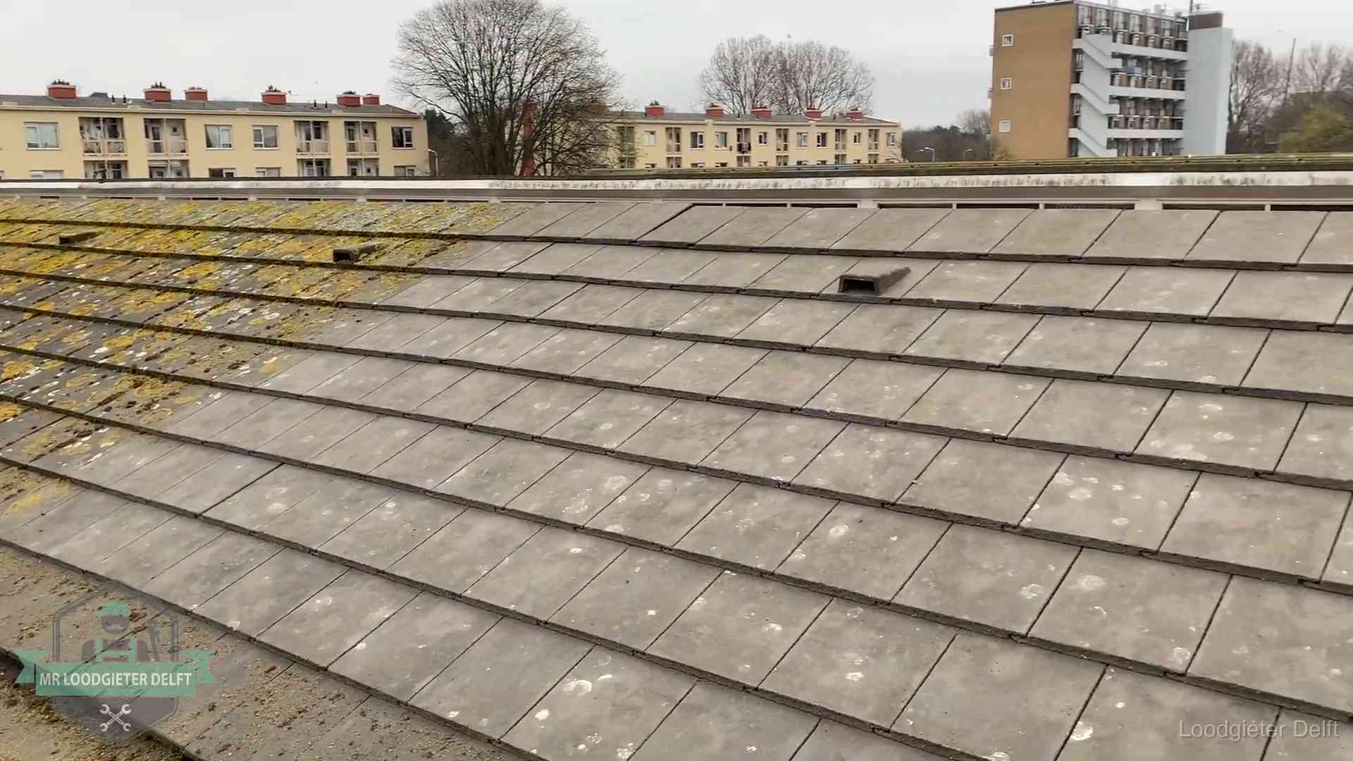 Schuin dak met betonpannen vol mos in Delft, een risico op lekkage bij de pannen