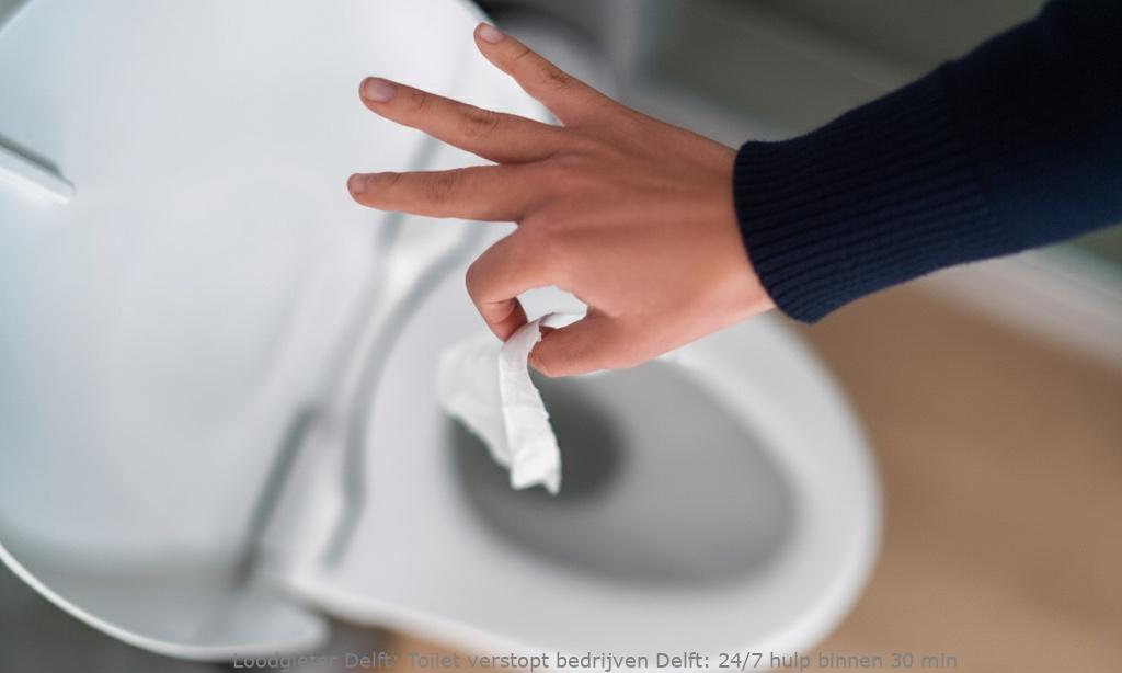 Toilet Verstopt Bedrijven Delft