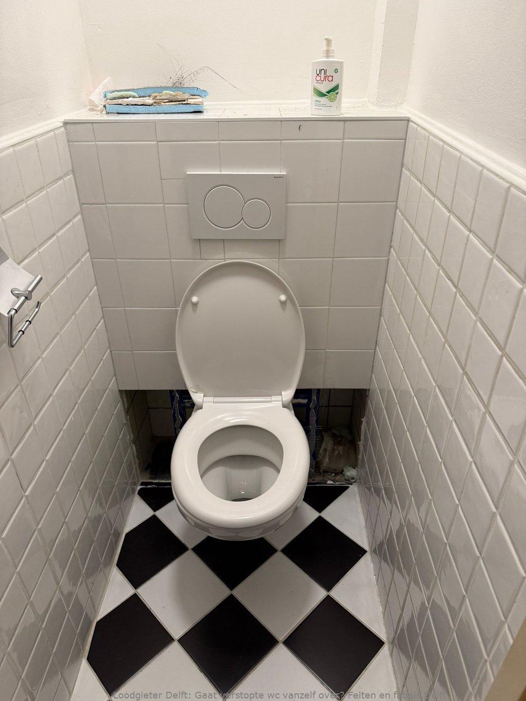 Verstopte Wc Delft