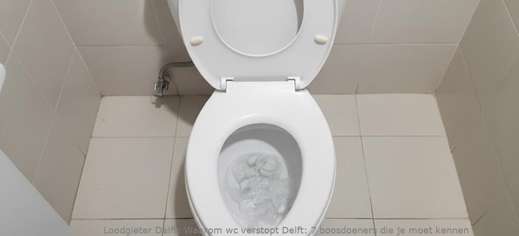 Waarom Wc Verstopt Delft