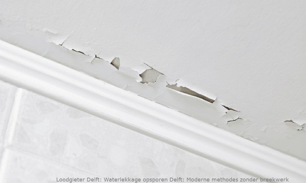 Waterlekkage Opsporen Delft