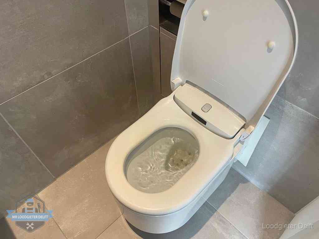 Wc Verstopt In Delft