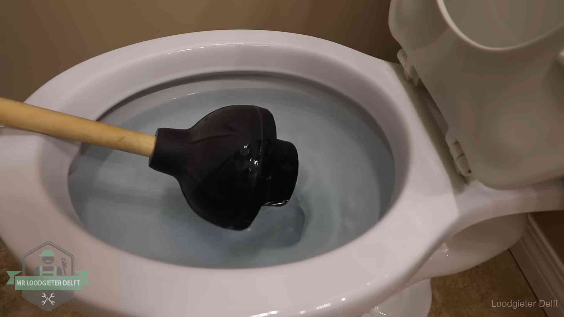 Wc vol water in Delft Plopper in een wc-pot die vol water staat in Delft